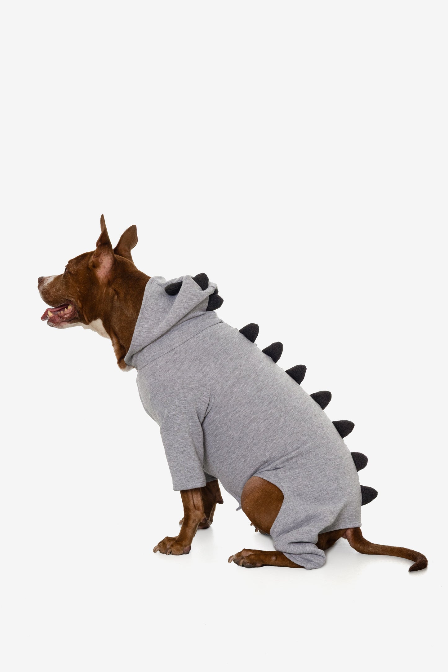 FF900 - Dogzilla