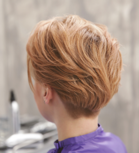 HAIRCUT WASH BLOWDRY Short Hair