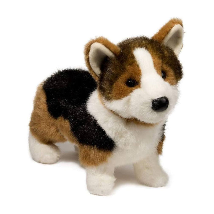 Kirby Tri-Corgi