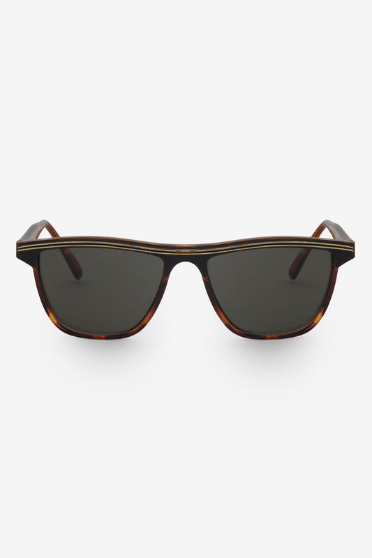 SGVN170 - Wayfarer Sunglasses