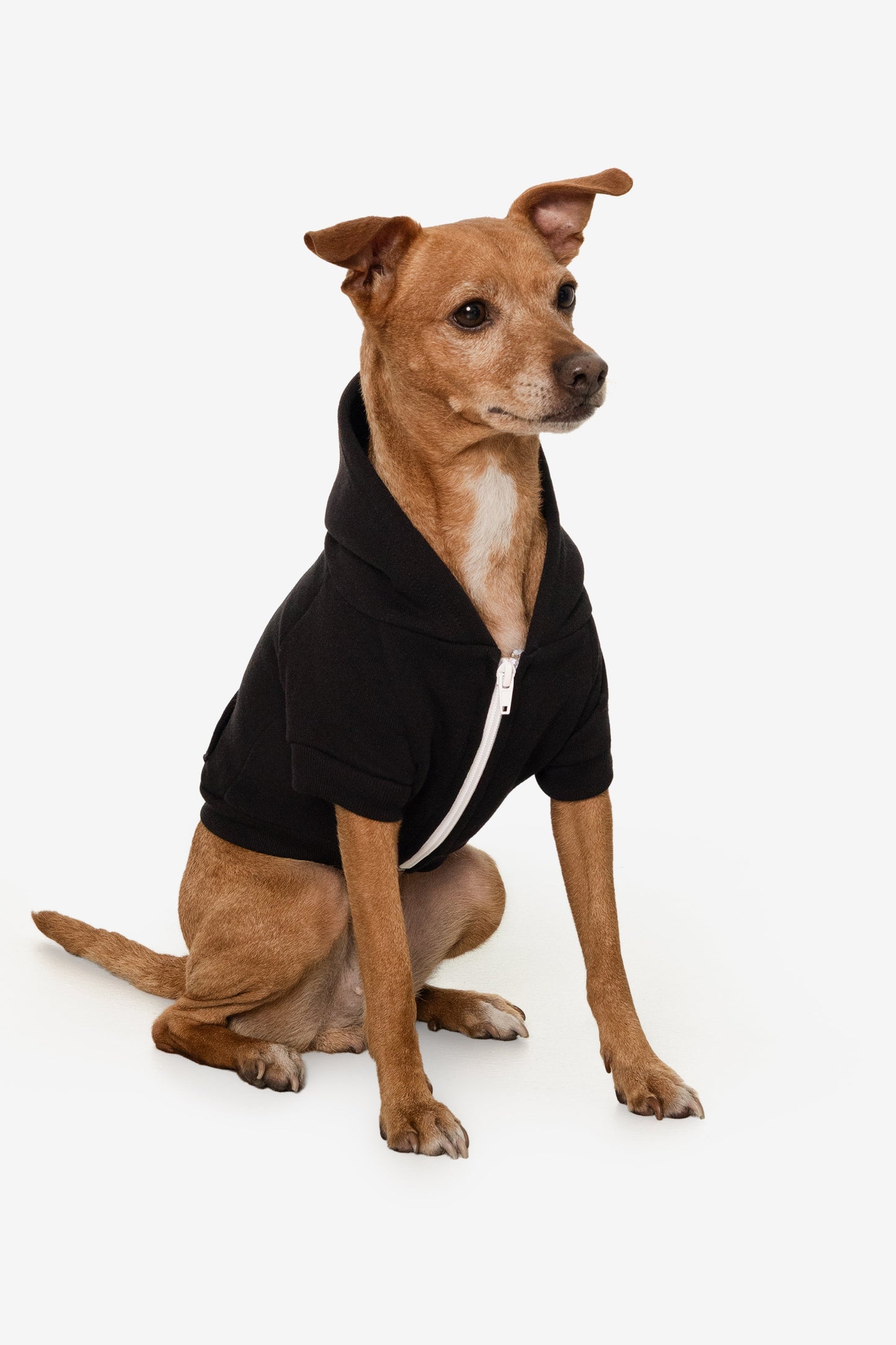 FF997 - Flex Fleece Dog Zip Hoodie