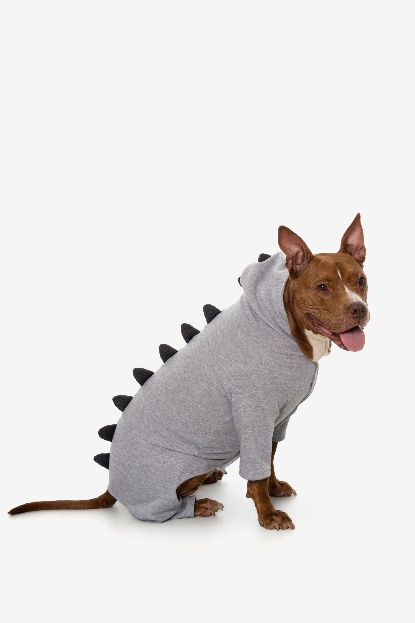 FF900 - Dogzilla