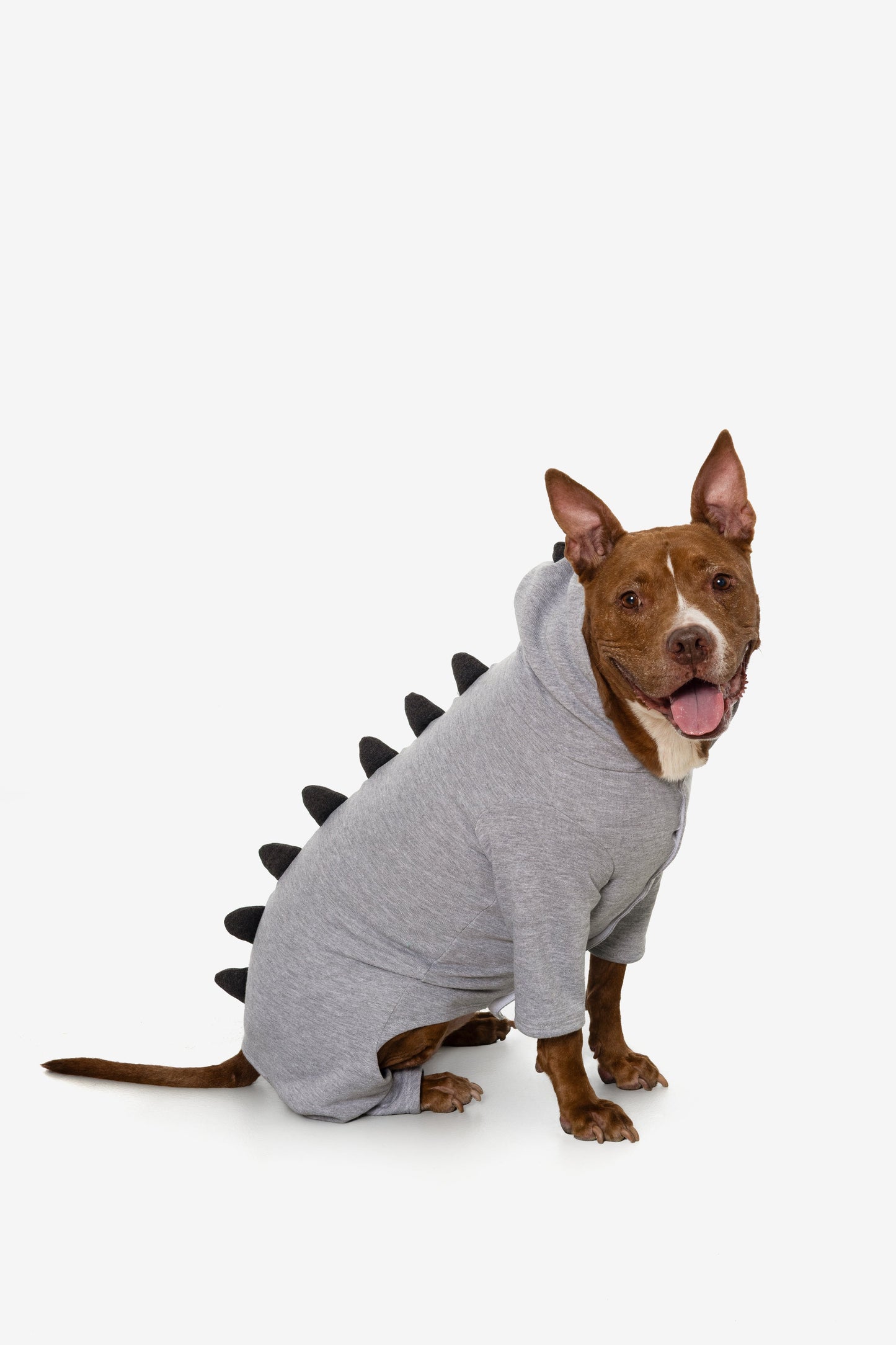 FF900 - Dogzilla