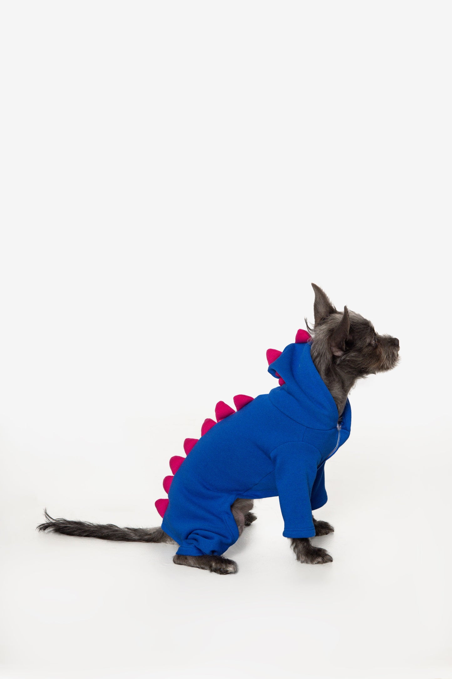 FF900 - Dogzilla