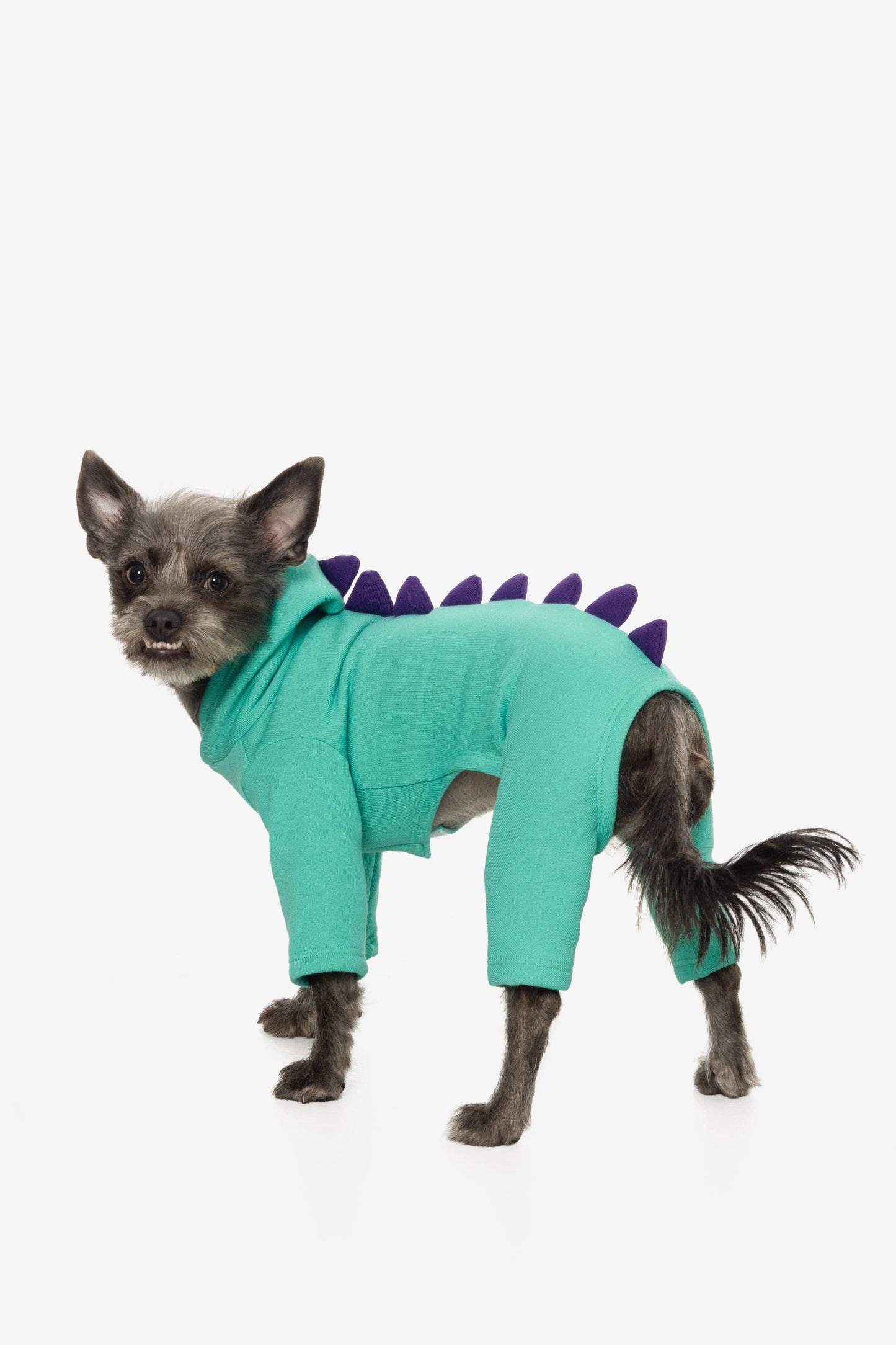 FF900 - Dogzilla