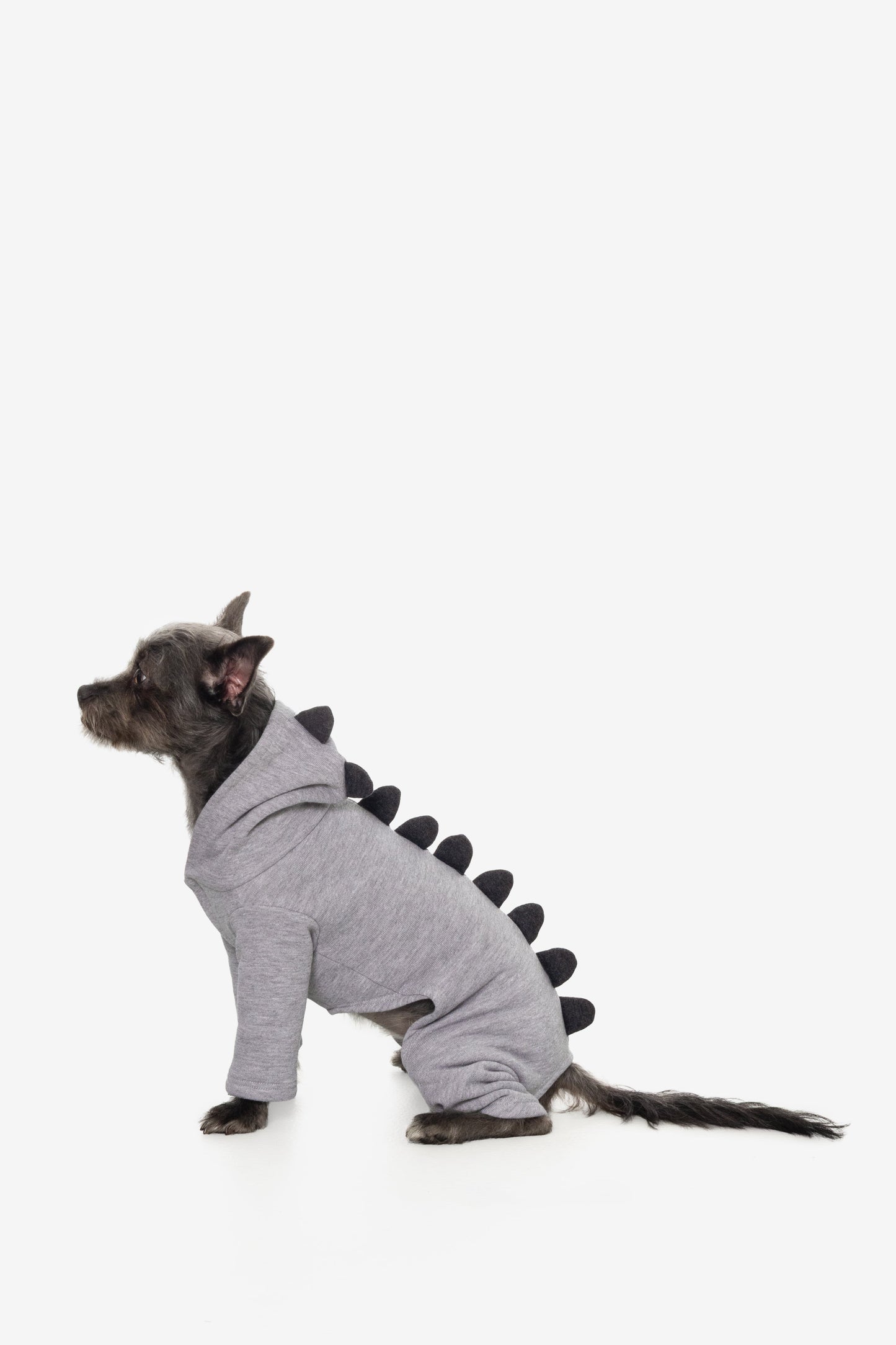 FF900 - Dogzilla