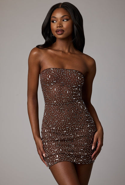Sheer Embellished Bodycon Mini Dress in Deep Cocoa