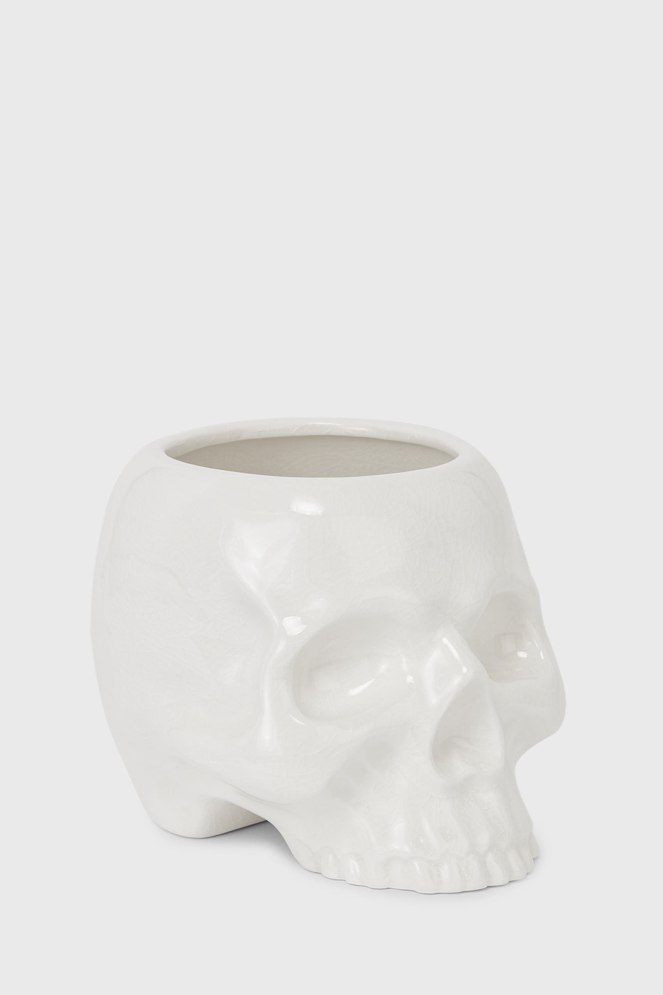 Cranium Planter