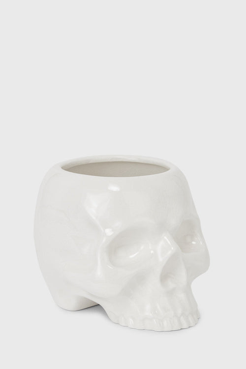 Cranium Planter