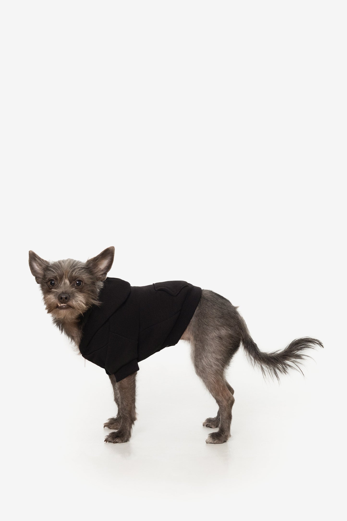 FF997 - Flex Fleece Dog Zip Hoodie