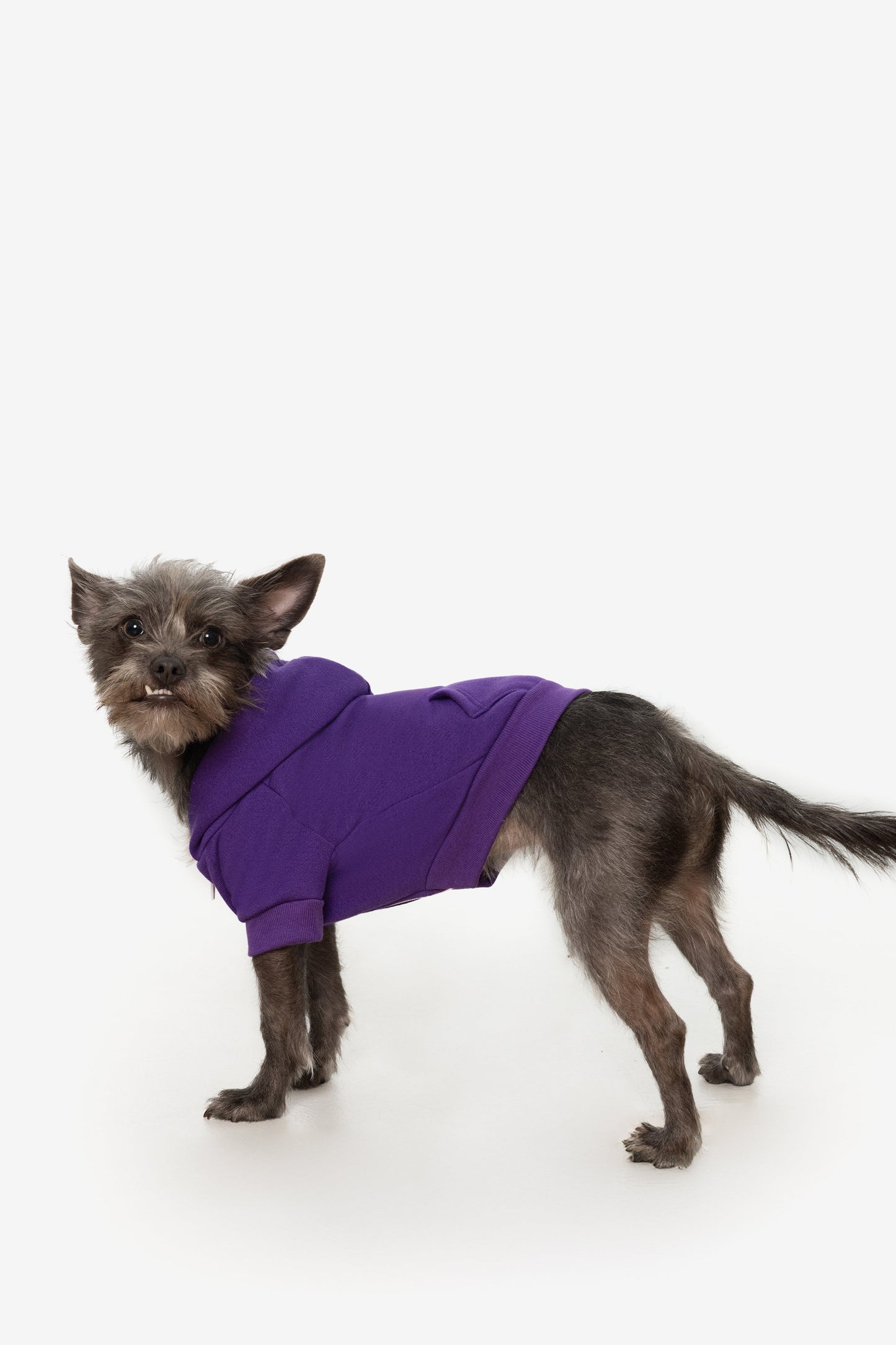 FF997 - Flex Fleece Dog Zip Hoodie