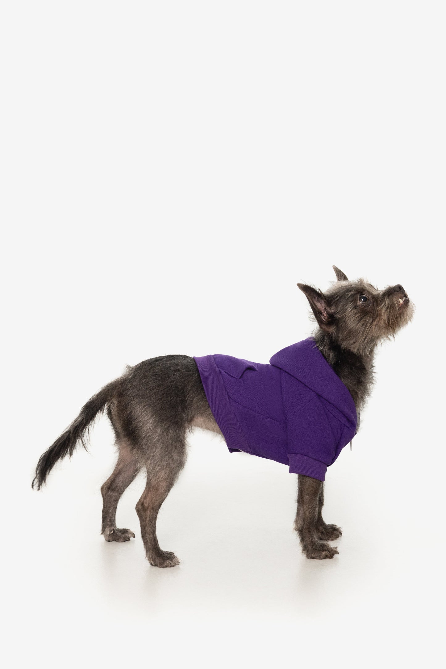 FF997 - Flex Fleece Dog Zip Hoodie