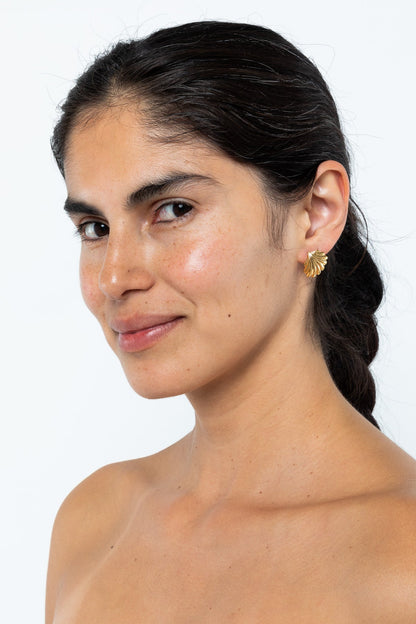 JWLS - Seashell Earrings