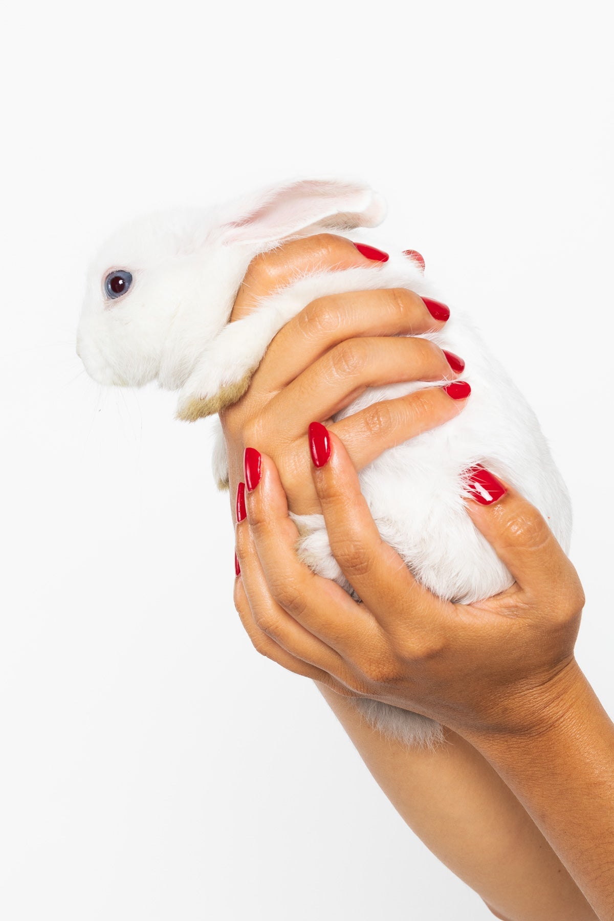 NAILPOLISH - Nail Polish