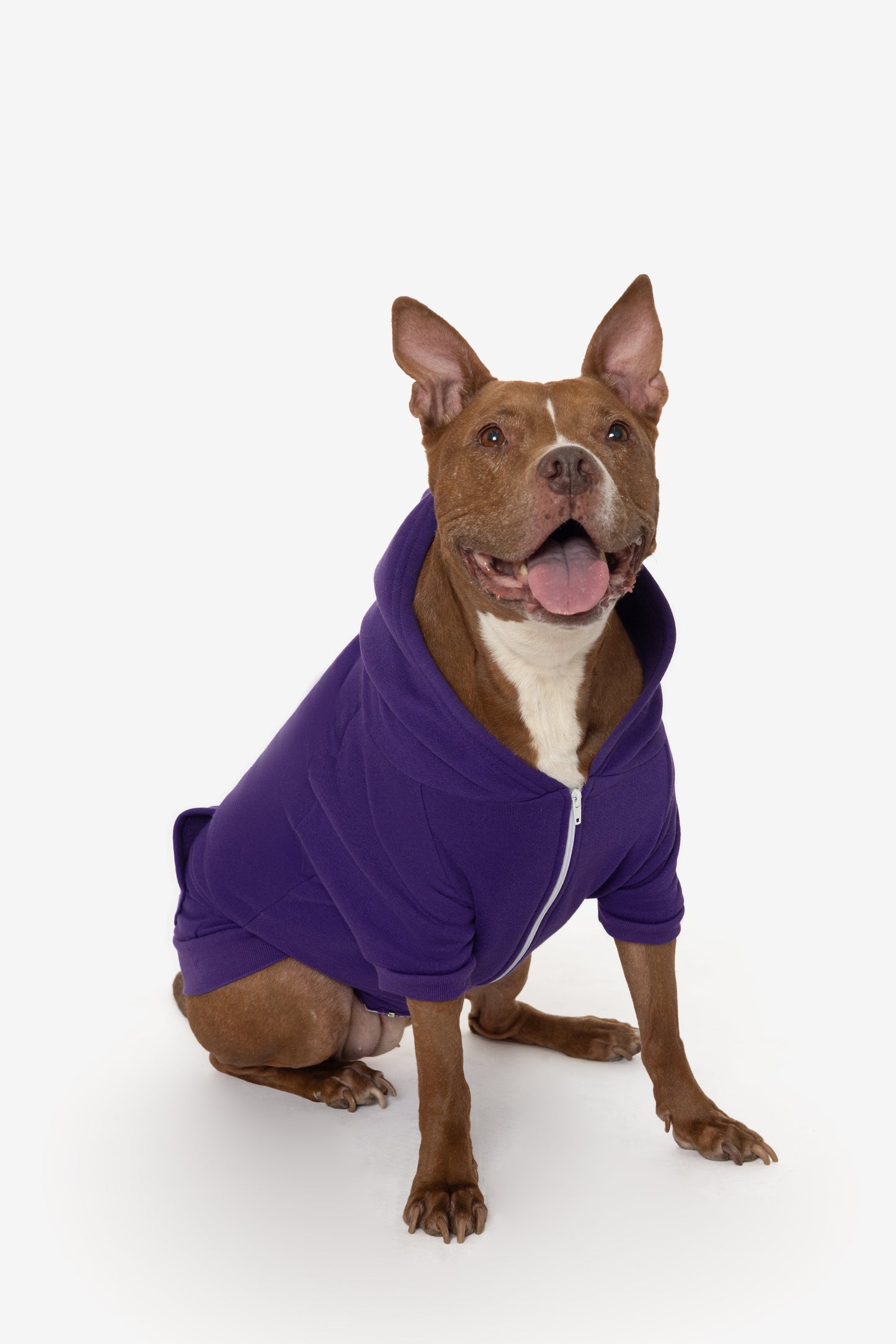FF997 - Flex Fleece Dog Zip Hoodie
