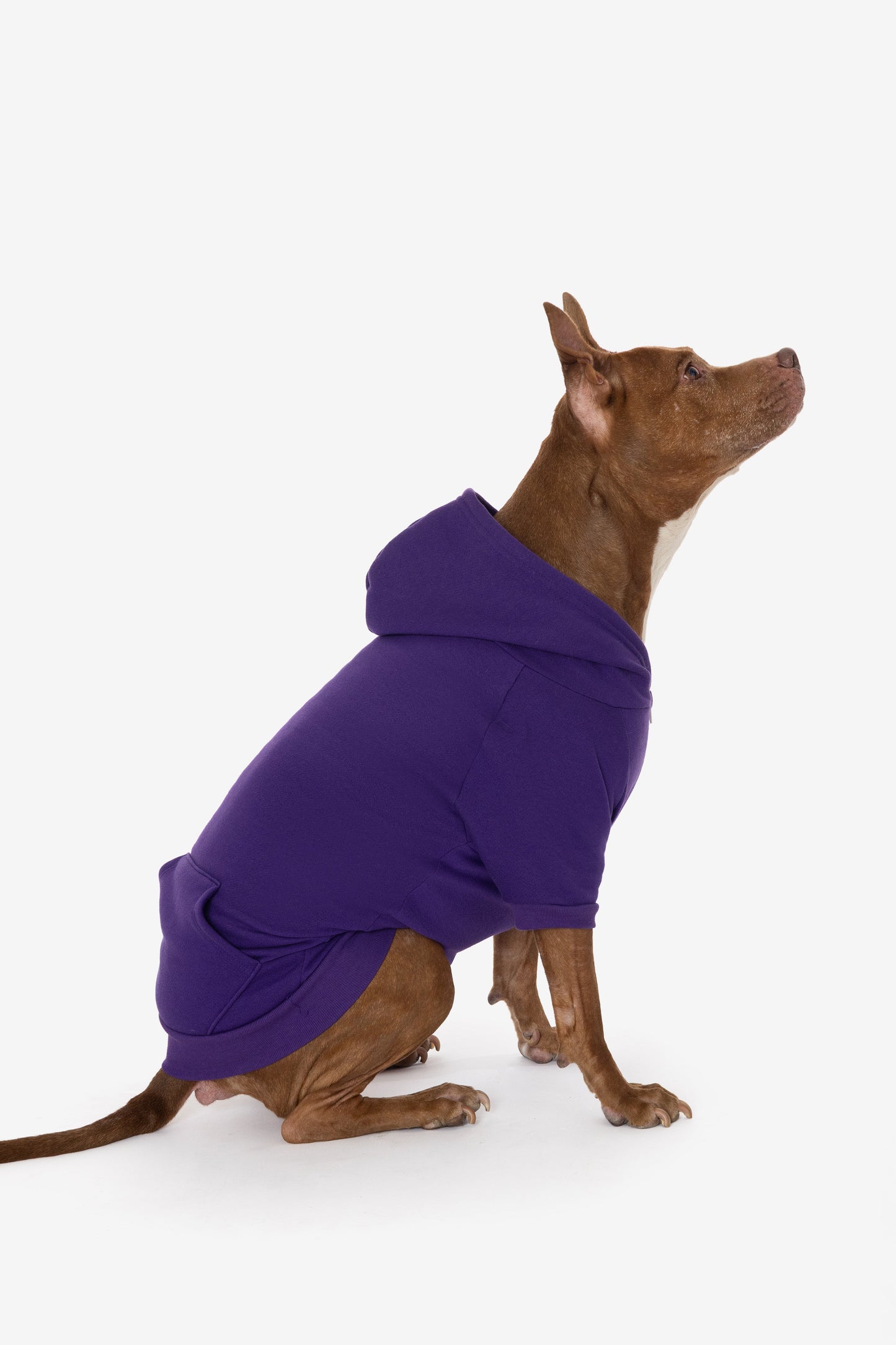 FF997 - Flex Fleece Dog Zip Hoodie
