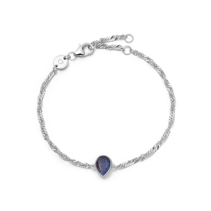 Birthstone Charm Bracelet Sterling Silver