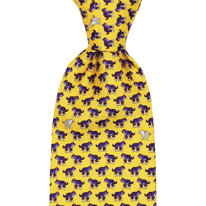 Boys’ Tiegers Tie