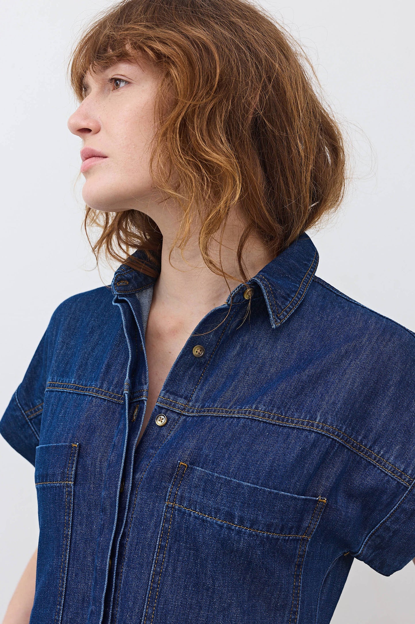 The Denim Shirt Dress