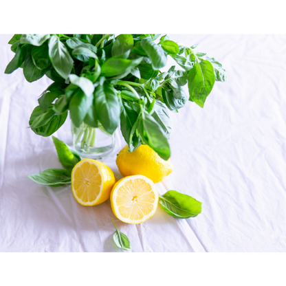Lemon Basil Iced