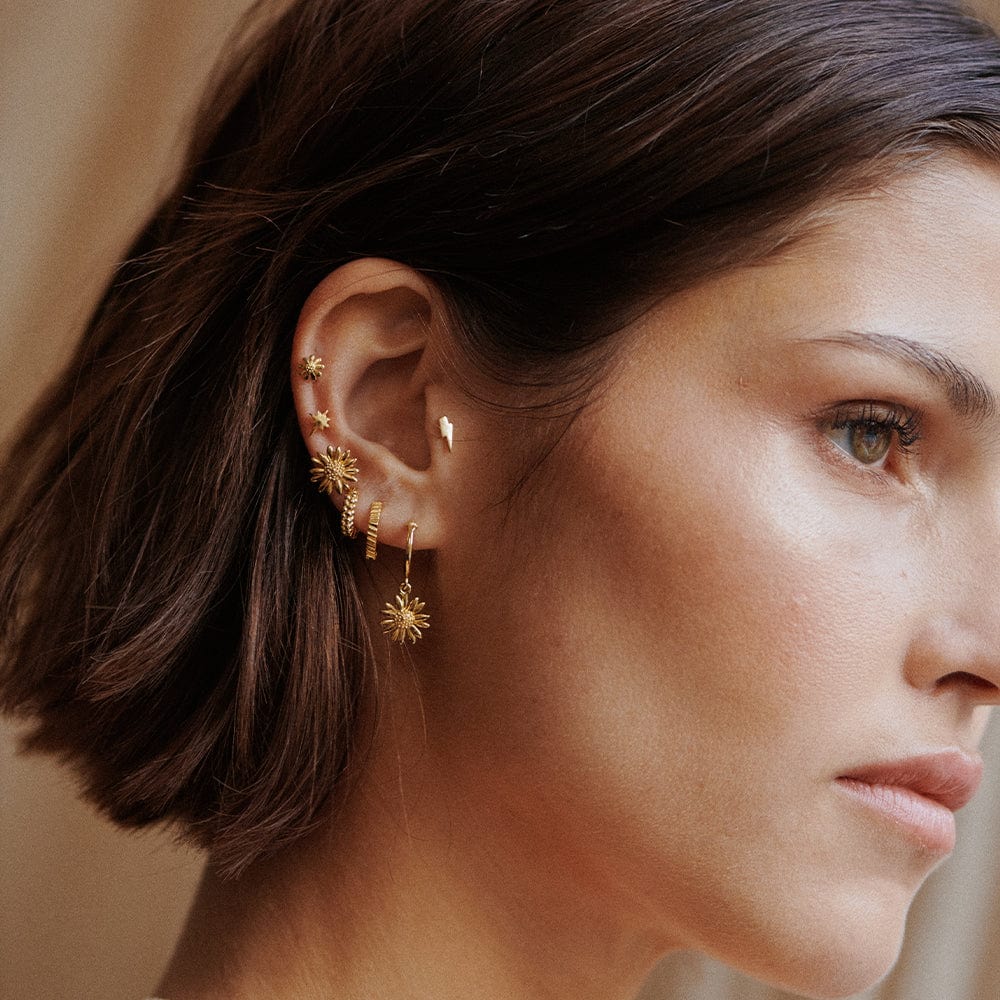 Michaelmas Daisy Stud Earrings 18ct Gold Plate