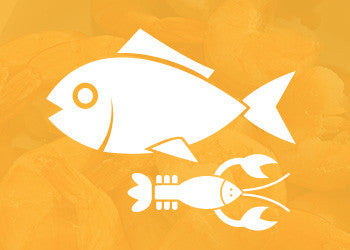 November Special! Fresh Salmon Fillet