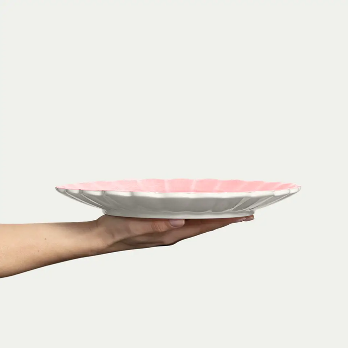 Oyster Dinnerware - Blush - S/4
