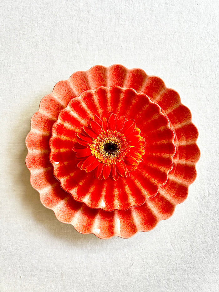 Oyster Dinnerware - Tangerine - S/4