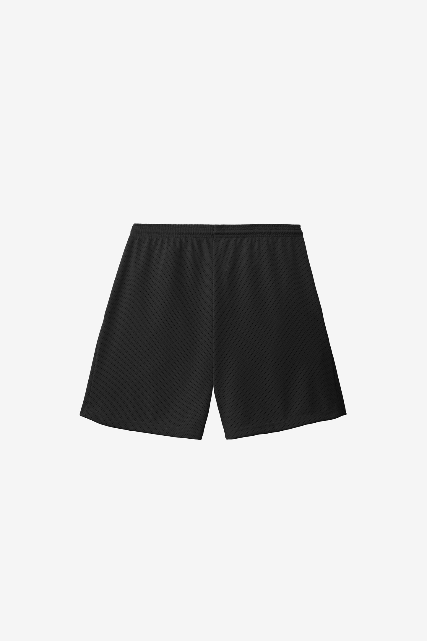 PRM442 - Pro Mesh Gym Shorts