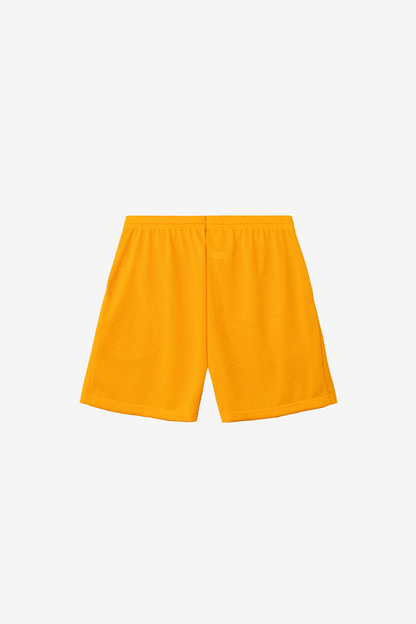 PRM442 - Pro Mesh Gym Shorts