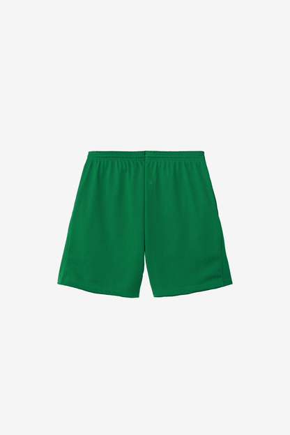 PRM442 - Pro Mesh Gym Shorts