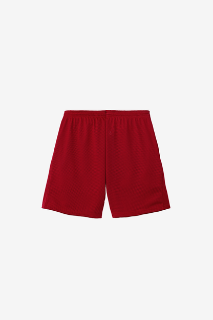 PRM442 - Pro Mesh Gym Shorts