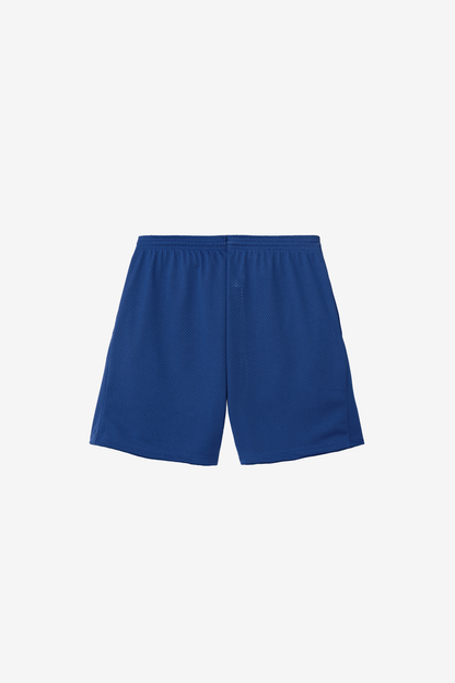 PRM442 - Pro Mesh Gym Shorts