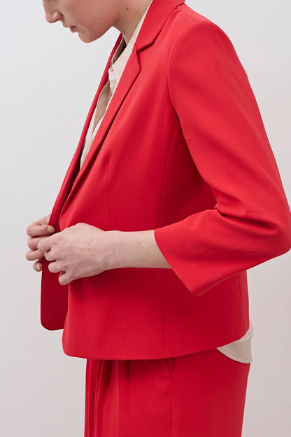 The Shrunken Blazer