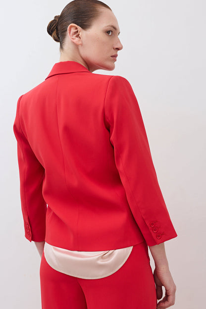The Shrunken Blazer