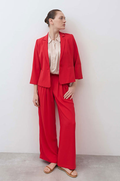 The Shrunken Blazer