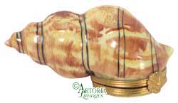 SKU# 6059 - Whelk - Sea Snail