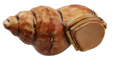 SKU# 6059 - Whelk - Sea Snail