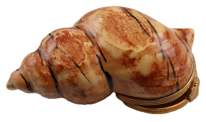 SKU# 6059 - Whelk - Sea Snail